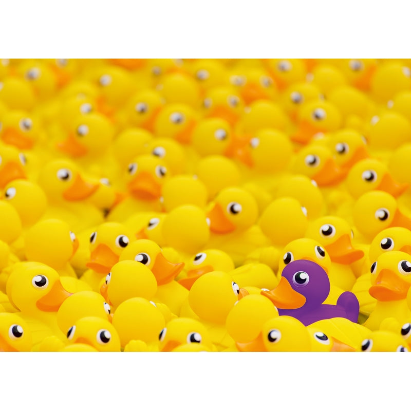 Rubber Ducks 1000pc Puzzle - Ravensburger