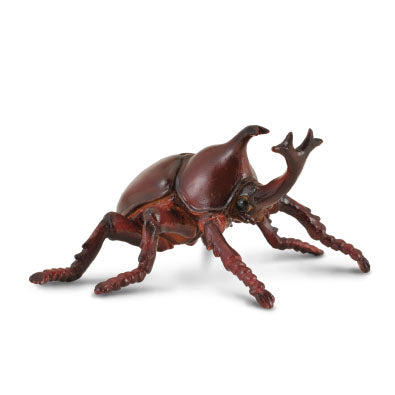 Rhinoceros Beetle - Collecta