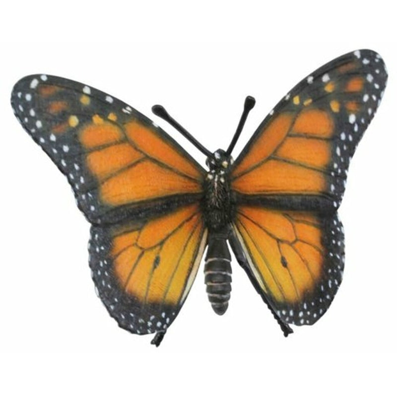 Monarch Butterfly - Collecta