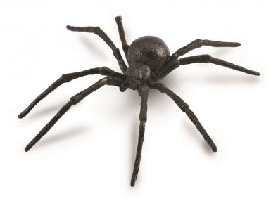 Black Widow Spider - Collecta