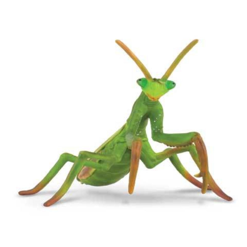 Praying Mantis - Collecta