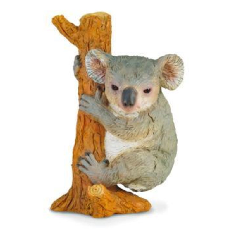 Koala Climbing - Collecta