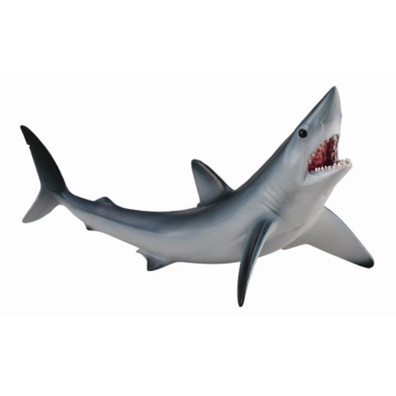 Shortfin Mako Shark - Collecta