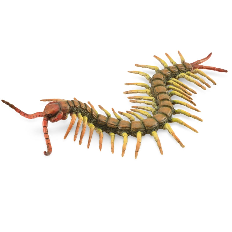 Centipede - Collecta