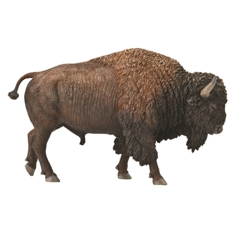 American Bison - Collecta