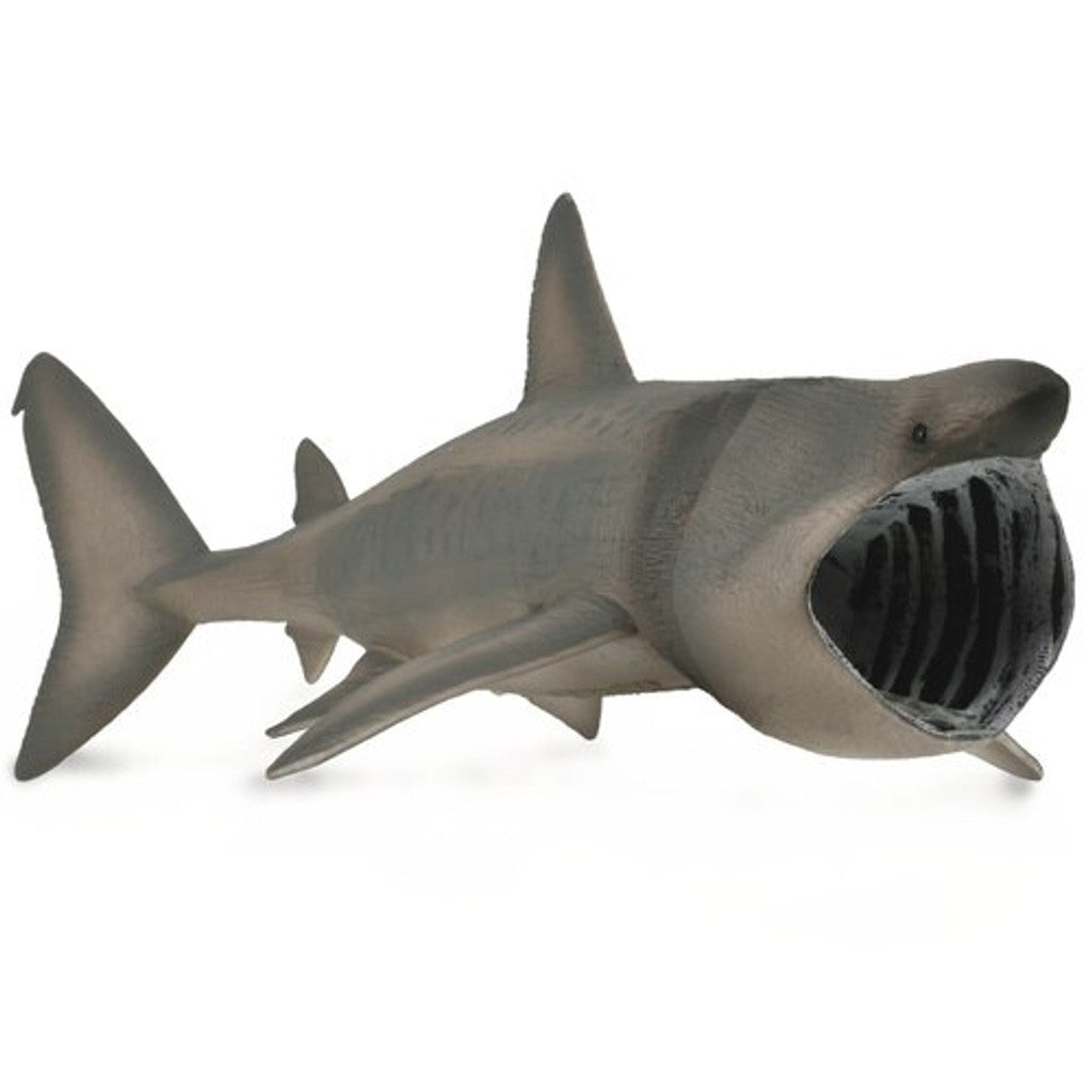 Basking Shark - Collecta