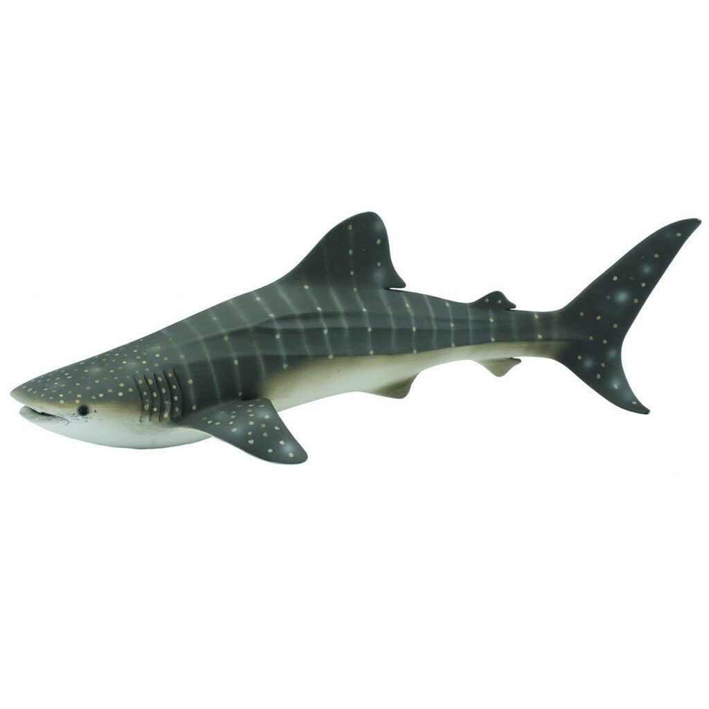 Whale Shark - Collecta