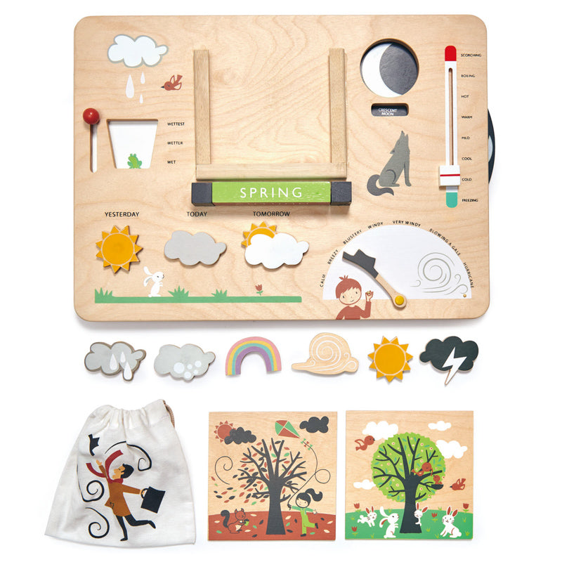Wooden Weather Station - Tender Leaf Toys