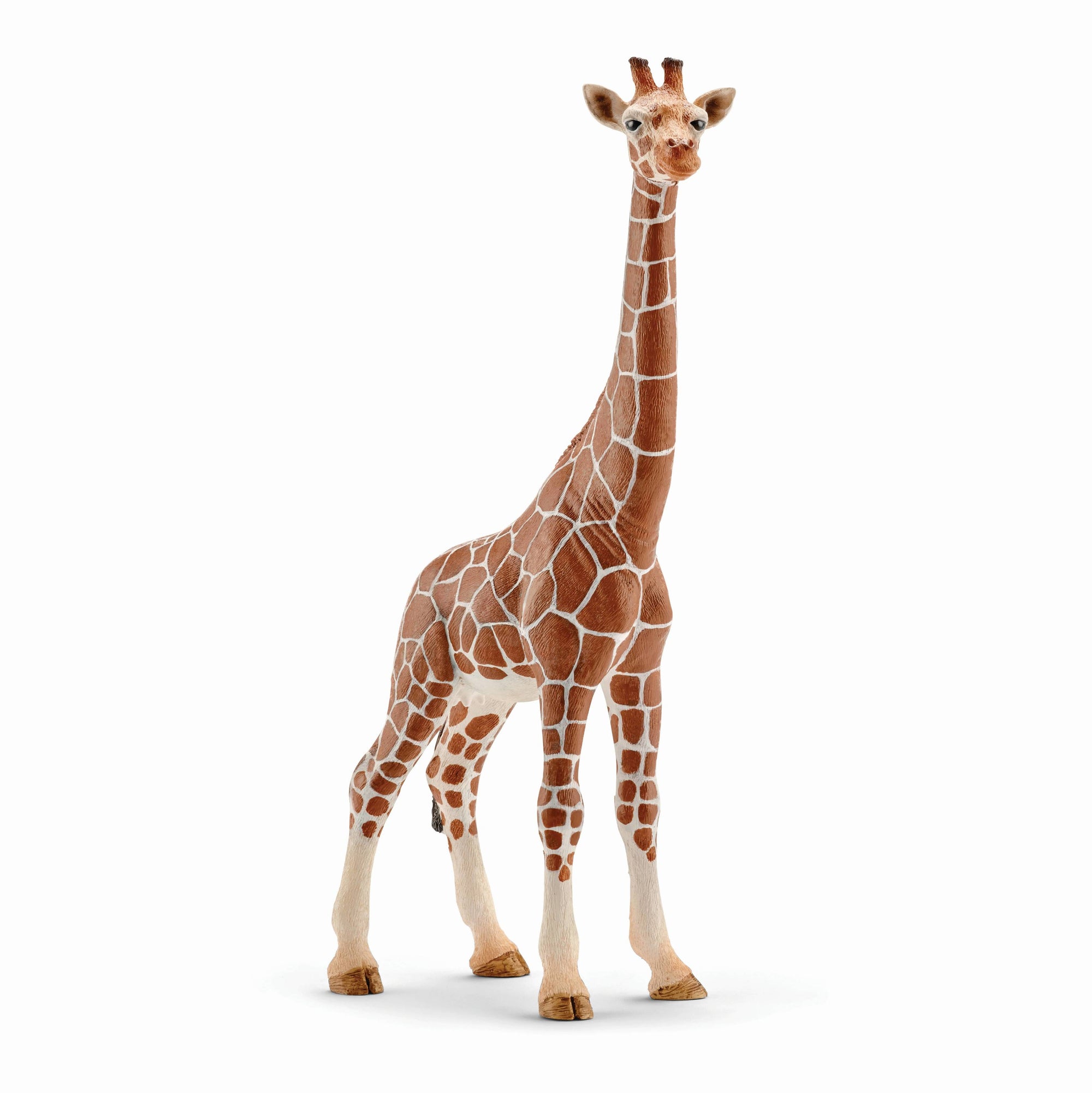 Giraffe Female - Schleich 