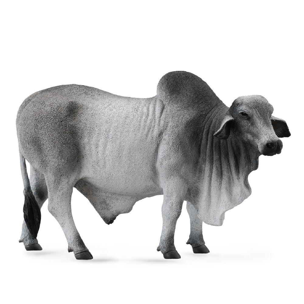 Brahman Bull Grey - Collecta
