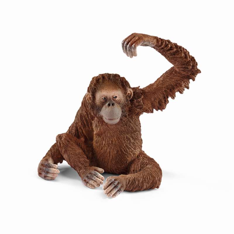 Orangutan Female - Schleich