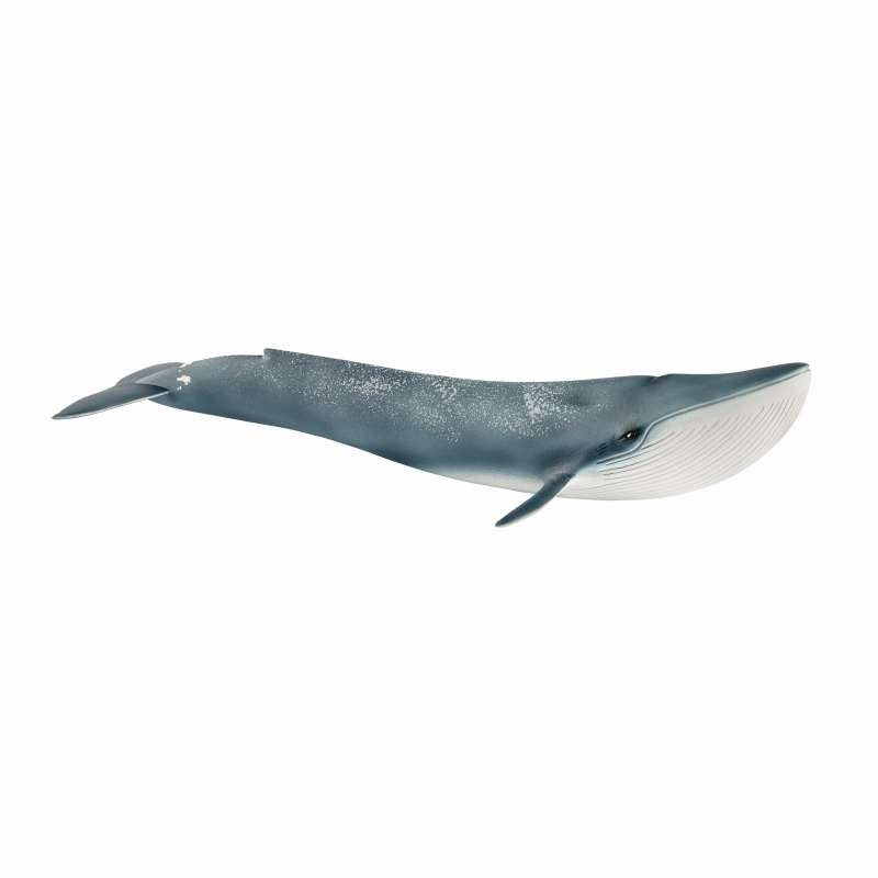 Blue Whale - Schleich