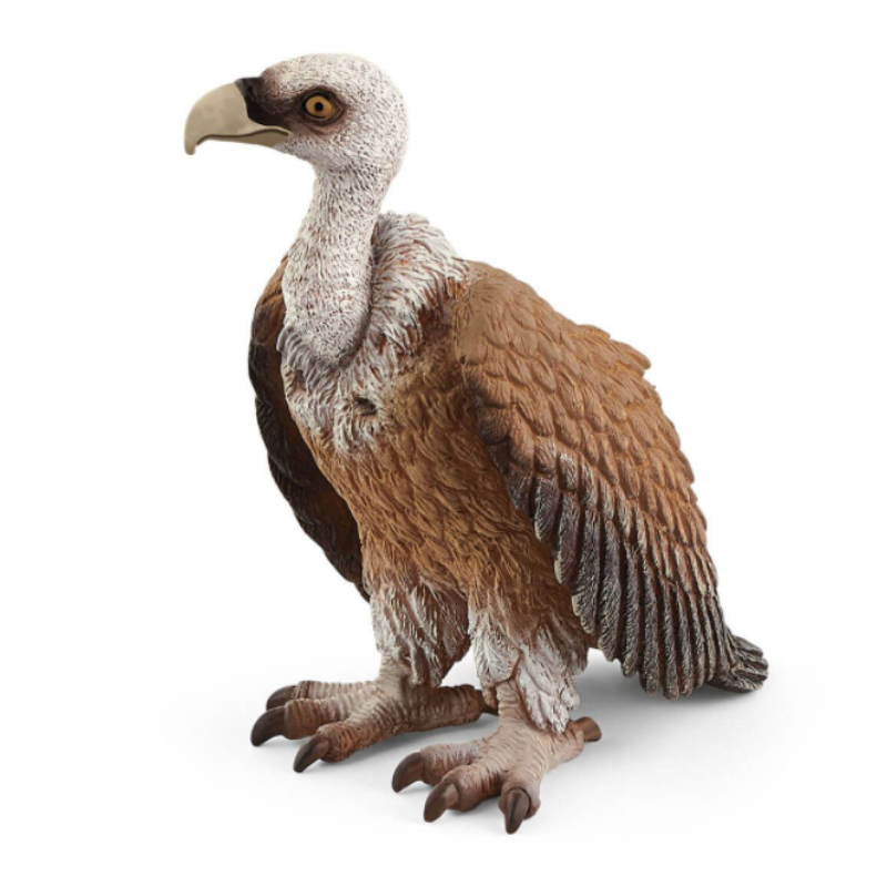 Griffon Vulture - Schleich