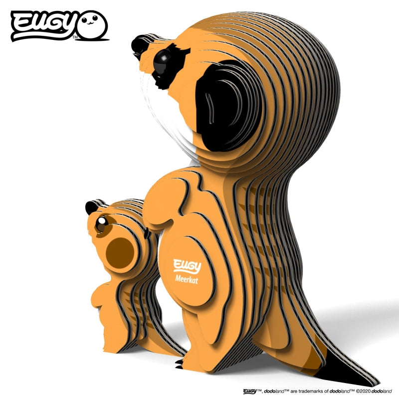 Meerkat - Eugy