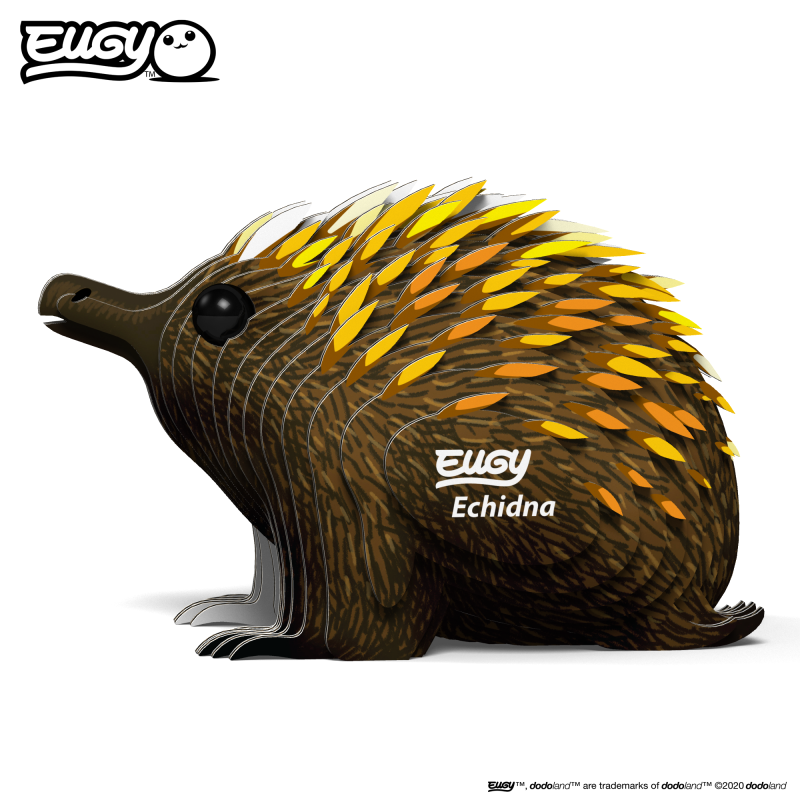 Echidna - Eugy