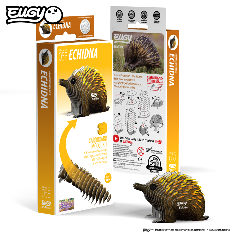 Echidna - Eugy