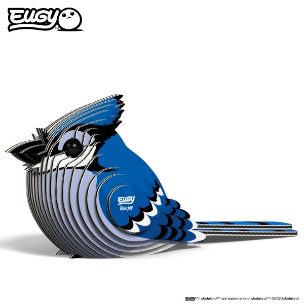 Blue Jay - Eugy