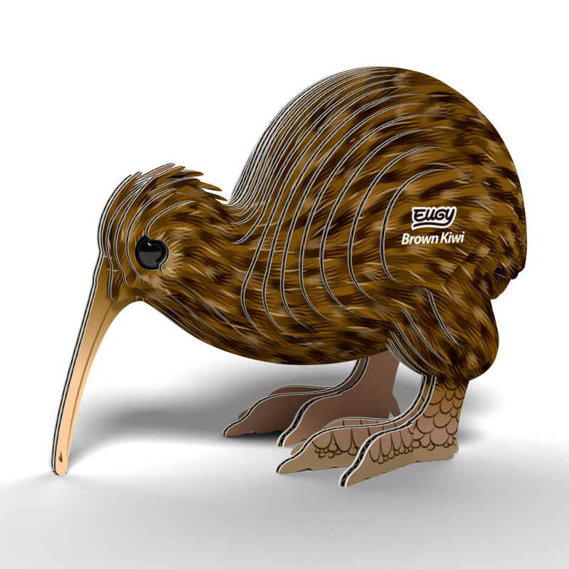 Brown Kiwi - Eugy