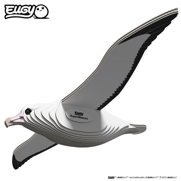 Royal Albatross - Eugy