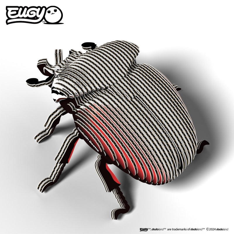 Beetle Goliath - Eugy