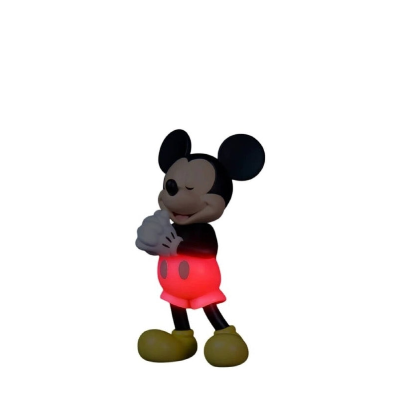 Disney Wisher Series 'A Little Wish' - Mickey &amp; Friends - Urdu