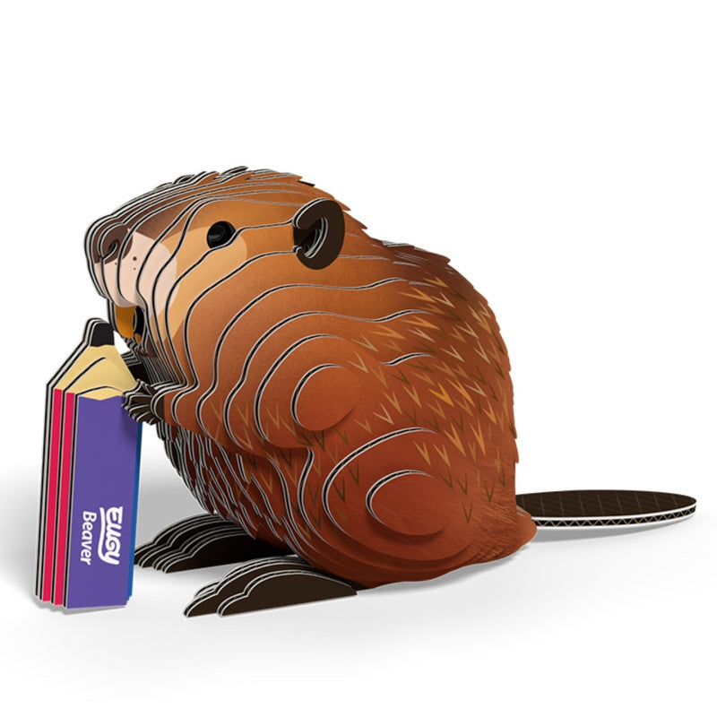 Beaver - Eugy