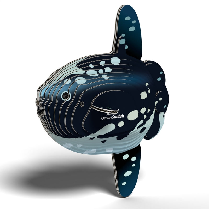 Ocean Sunfish - Eugy