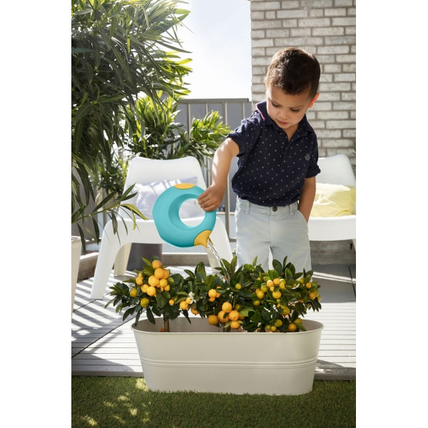 Cana Small Banana Blue - Quut