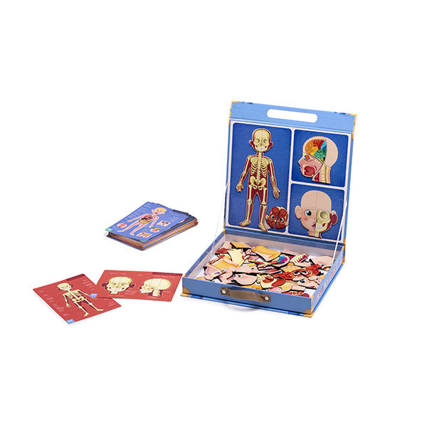 Human Body Multilanguage 102 Magnet Set Learning Bag