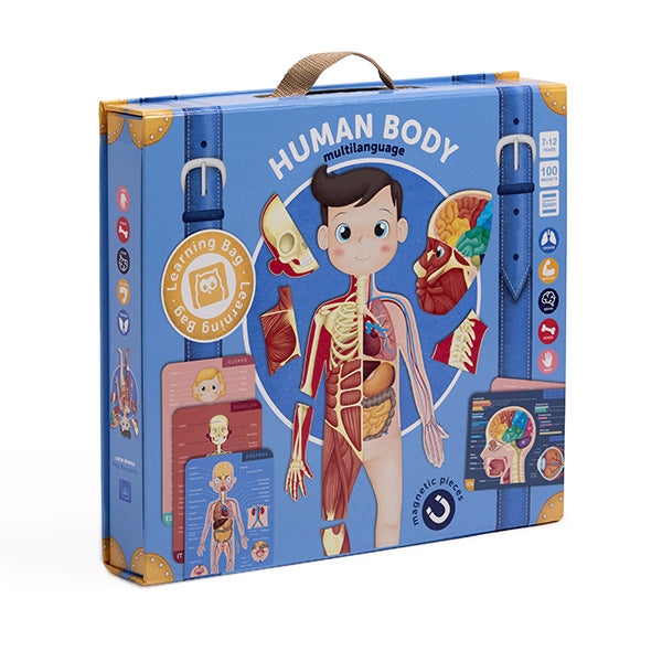 Human Body Multilanguage 102 Magnet Set Learning Bag