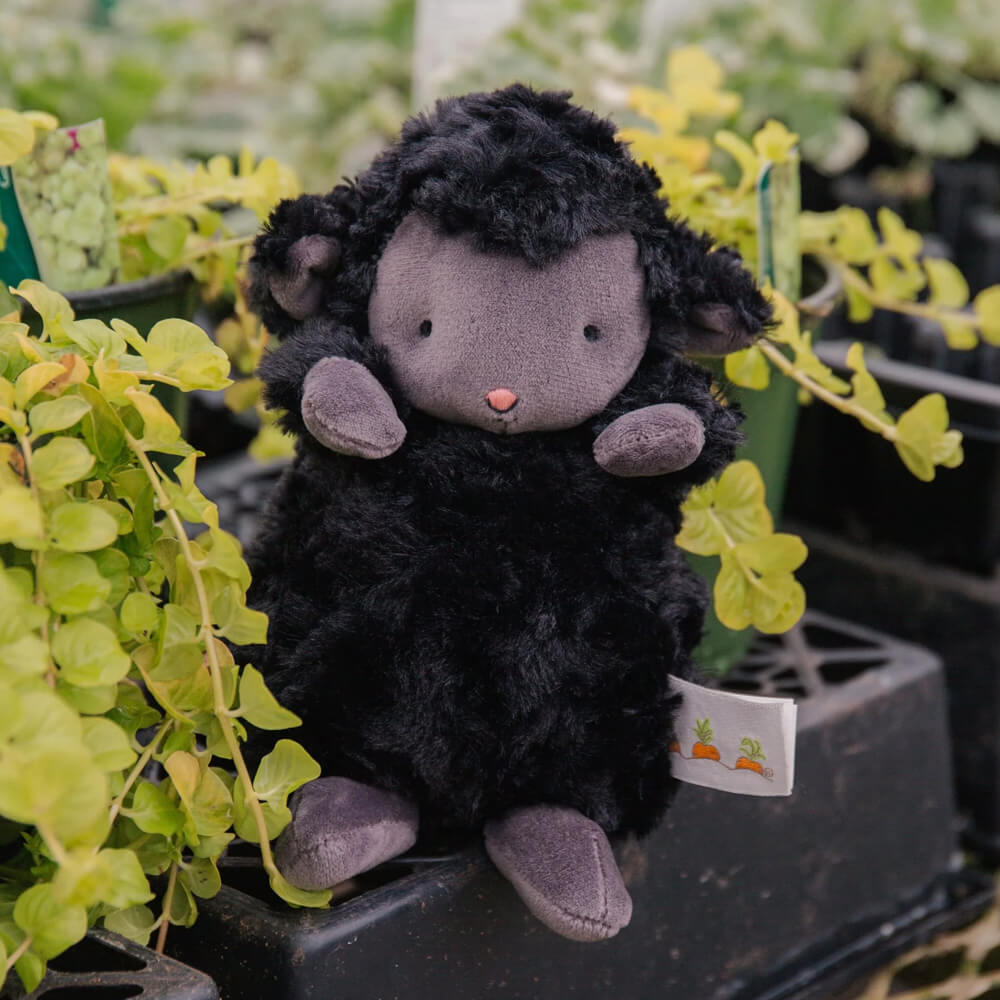 Wee Kiddo Lamb - Bunnies By The Bay
