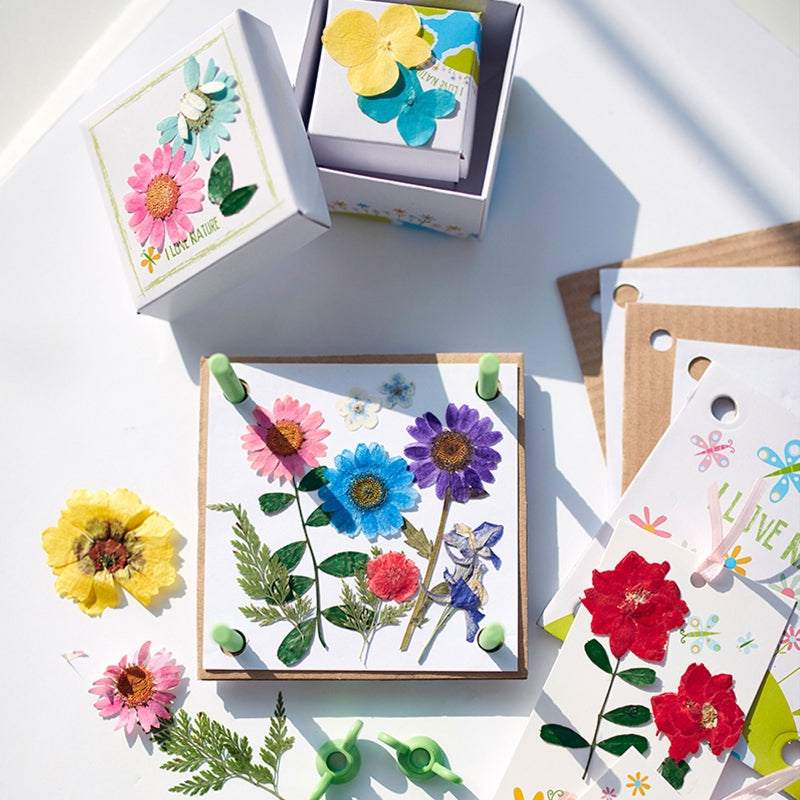 Pressed Flower Art Green Science - 4M