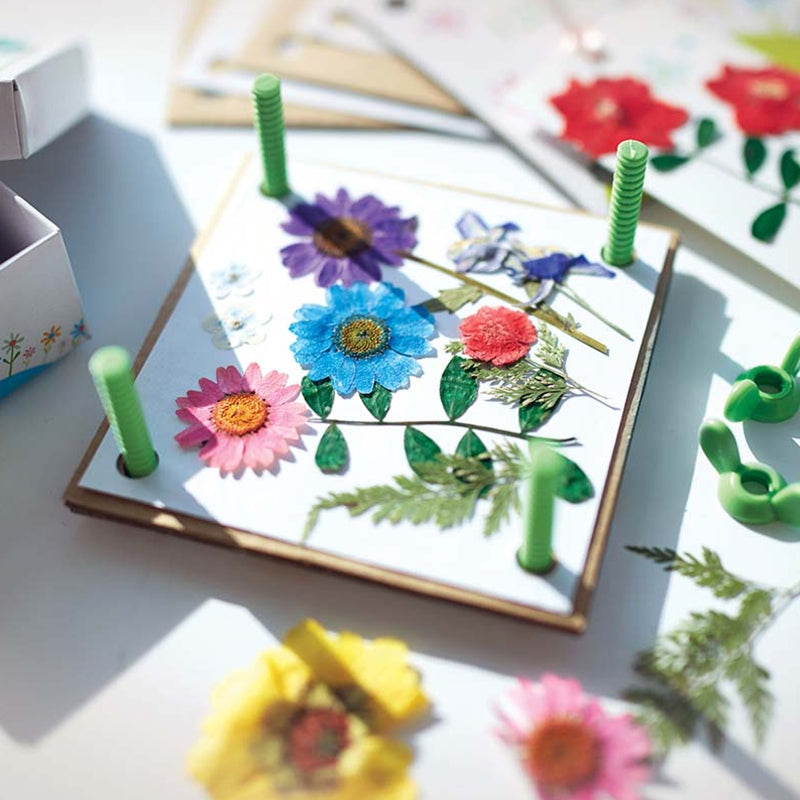 Pressed Flower Art Green Science - 4M