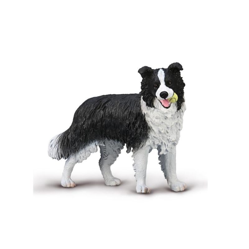 Border Collie  (L) - Collecta