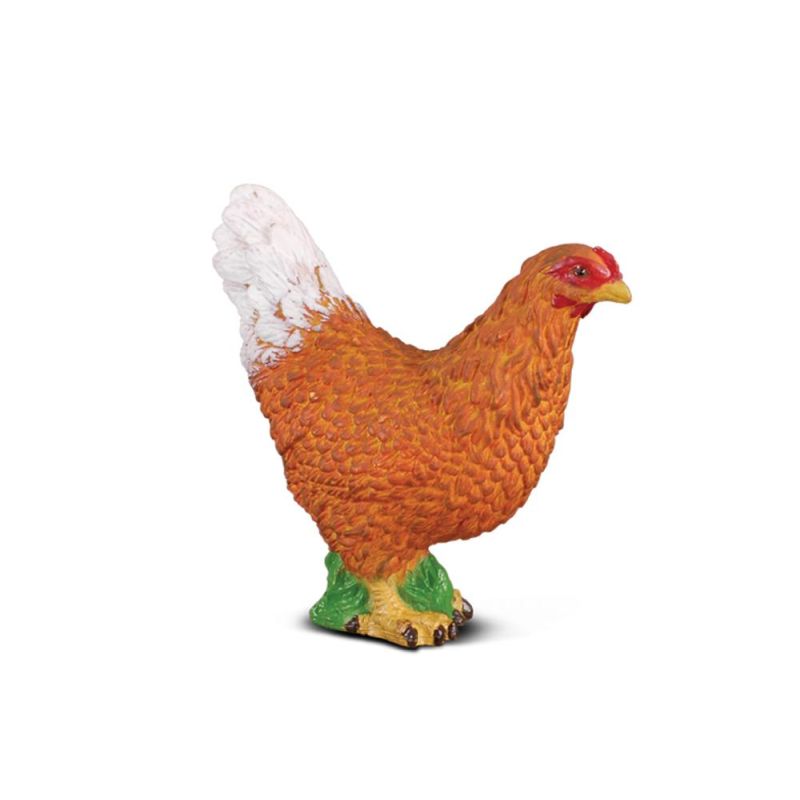 Hen - Collecta