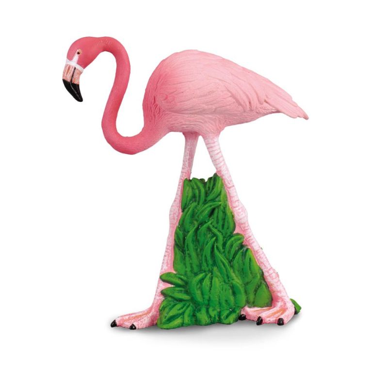 Flamingo - Collecta