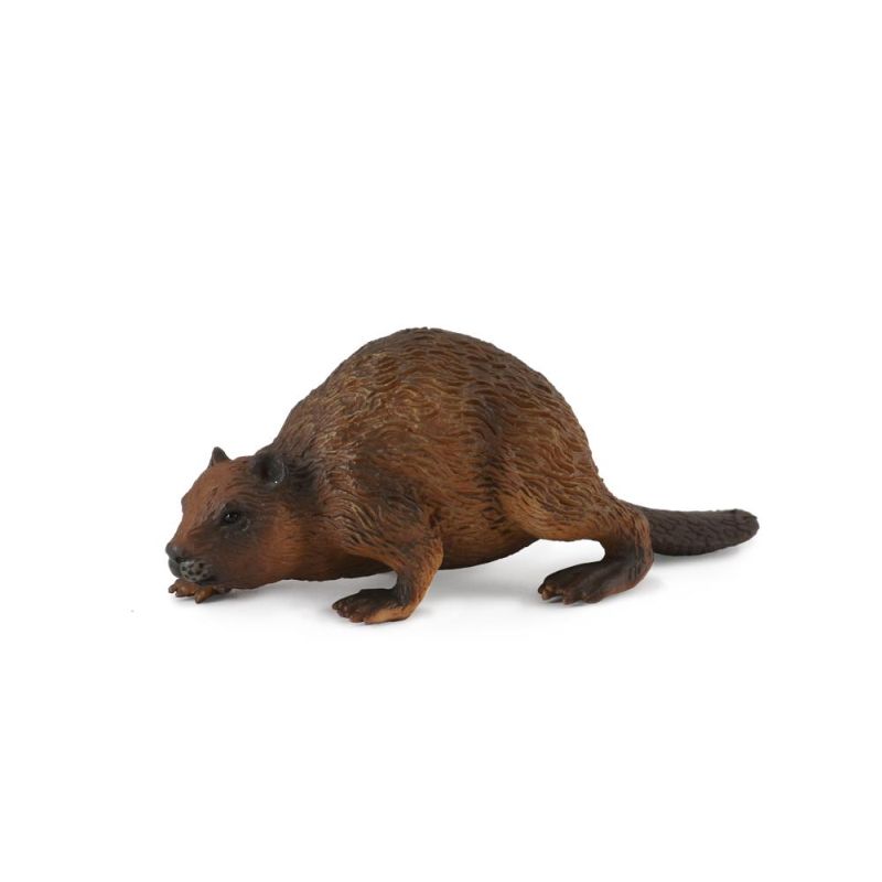 Beaver - Collecta