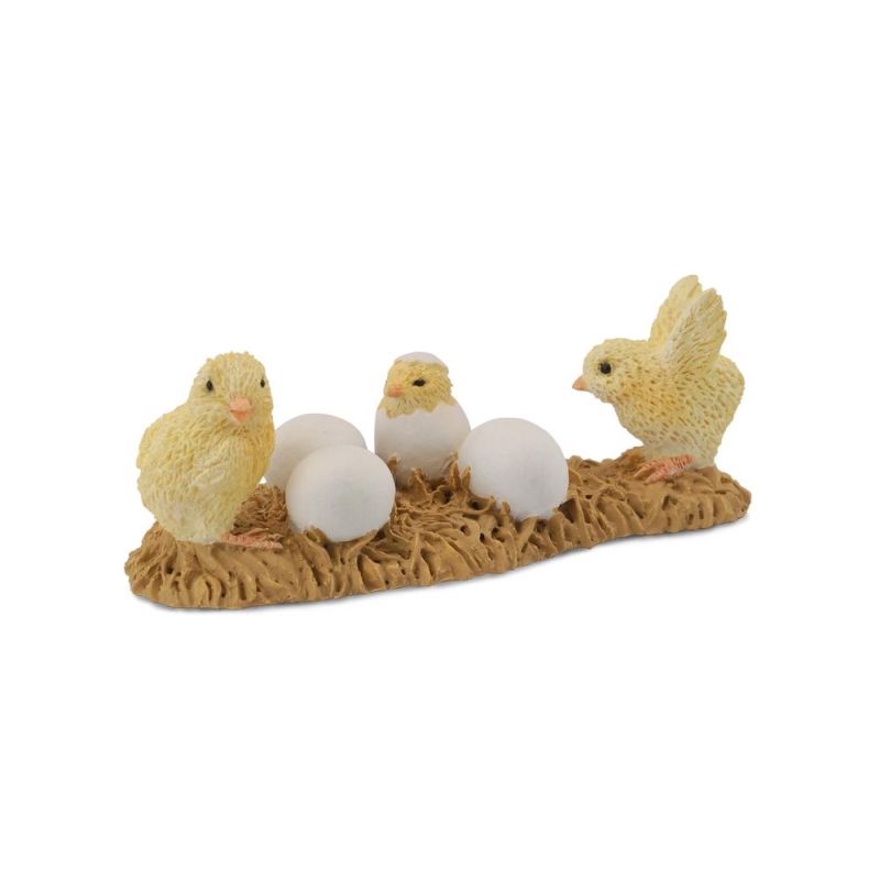 Chicks Hatching - Collecta