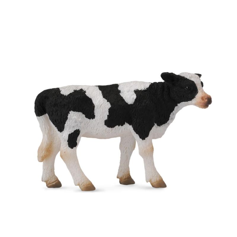 Friesian Calf standing - Collecta