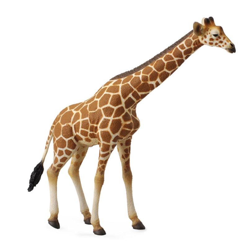 Giraffe Reticulated - Collecta