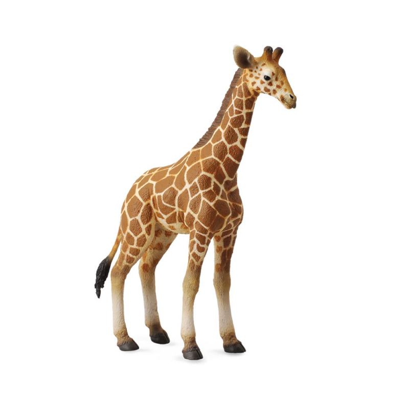 Giraffe Calf Reticulated - Collecta