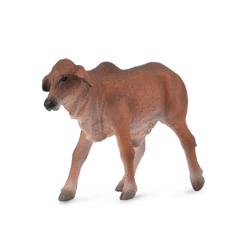Brahman Calf  Red - Collecta