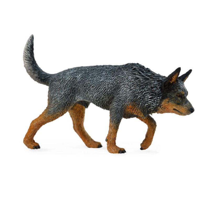Australian Cattle Dog - Collecta