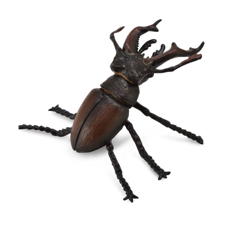 Stag Beetle - Collecta