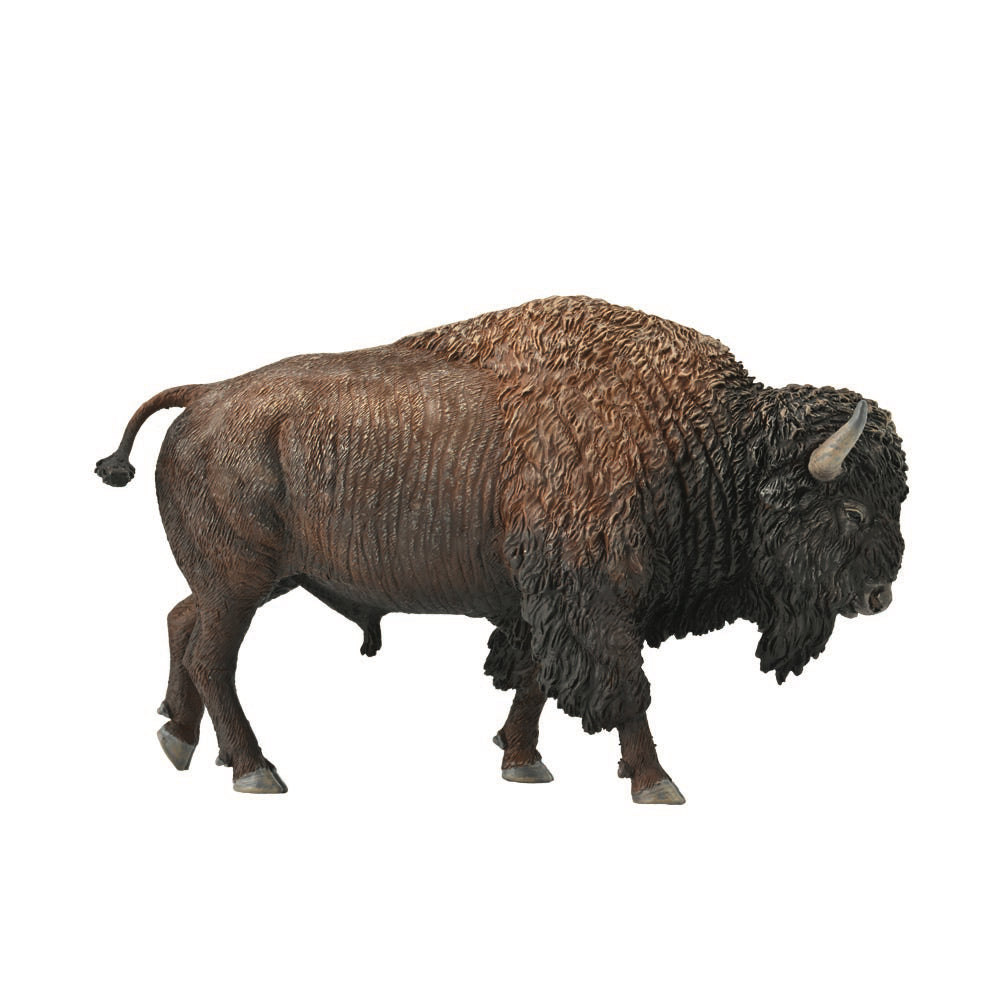 American Bison XL - Collecta