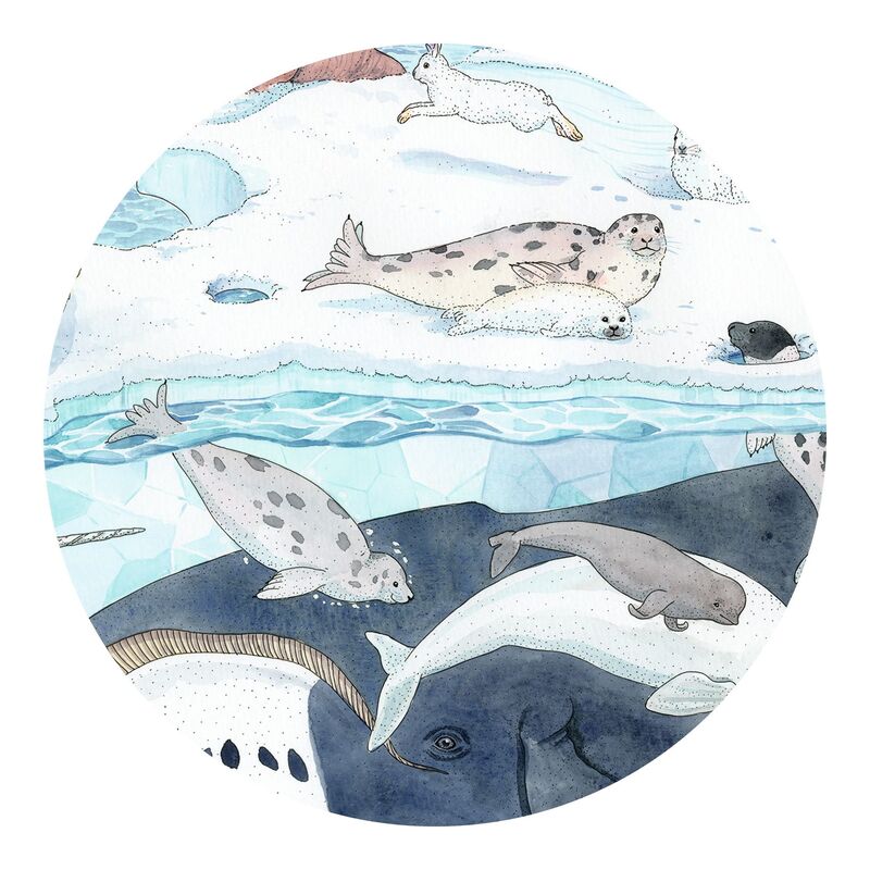 Polar Softness 54 Piece Jigsaw Puzzle - Djeco