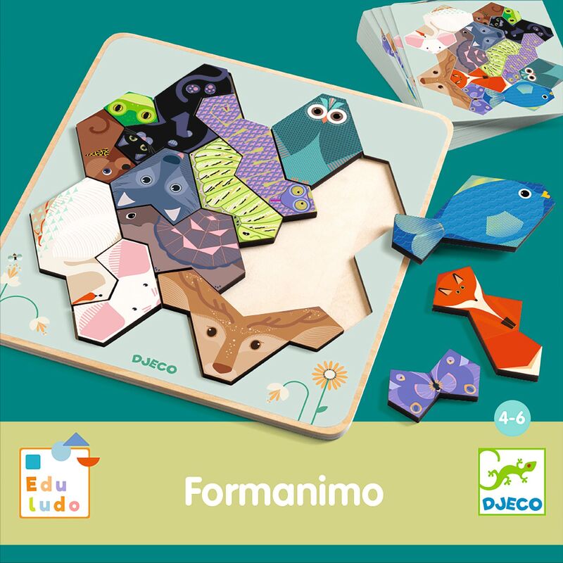 FormAnimo Geometry Game - Djeco