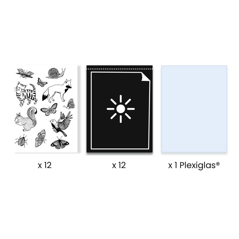 Cyanotype Starter Kit - Djeco