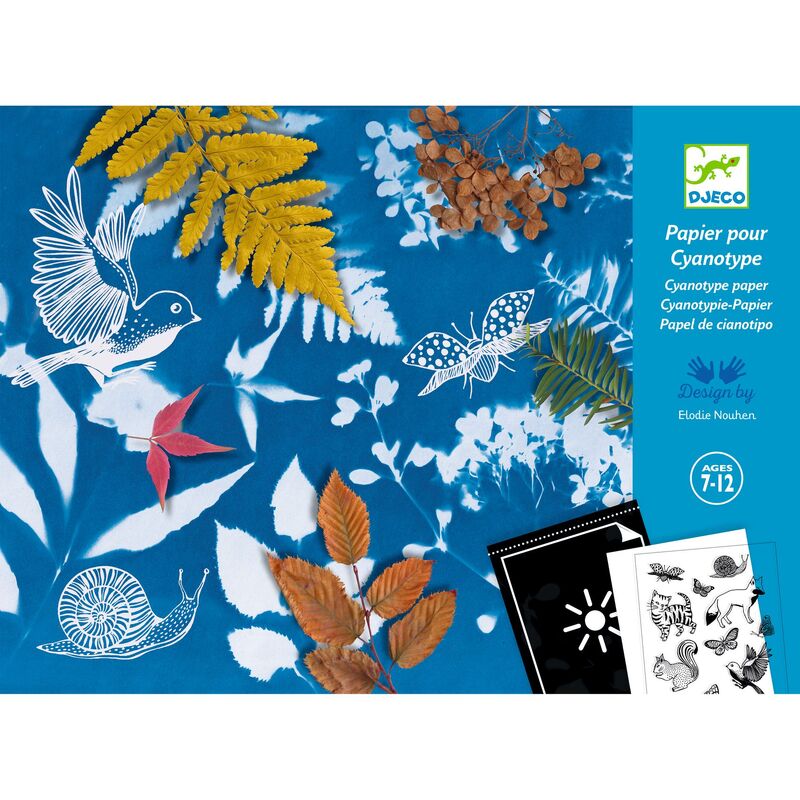 Cyanotype Starter Kit - Djeco