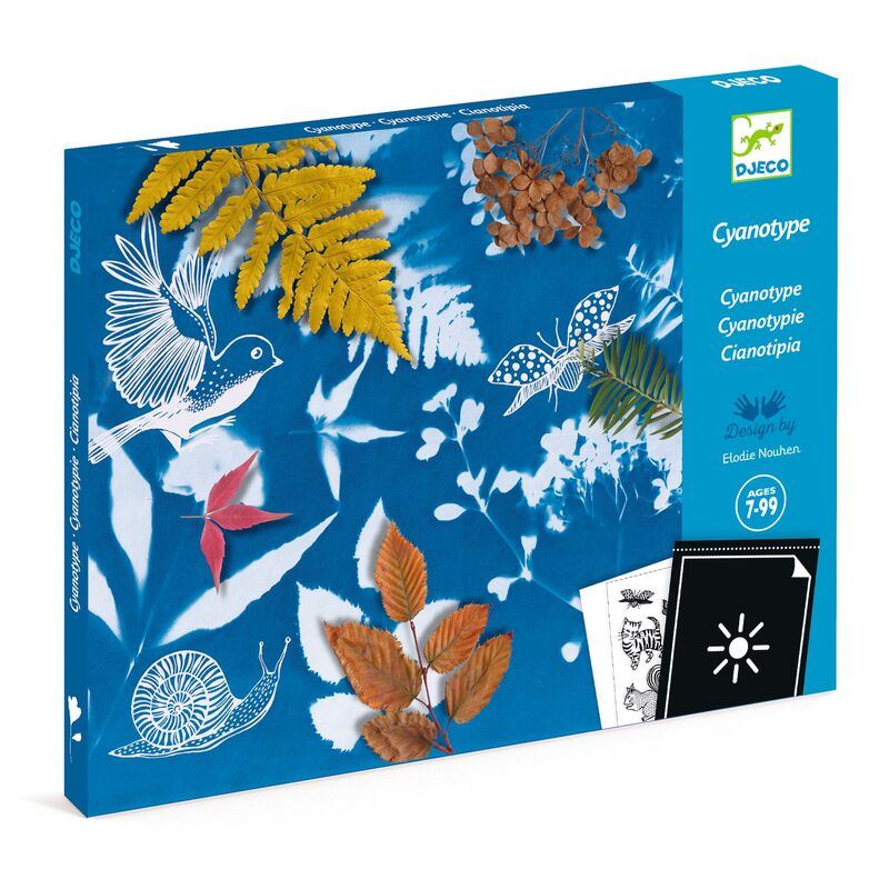 Cyanotype Starter Kit - Djeco
